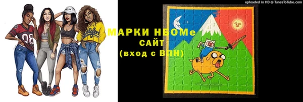 apvp Няндома