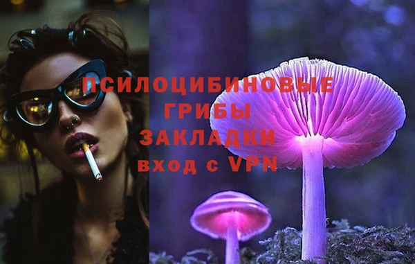 бошки Алексин