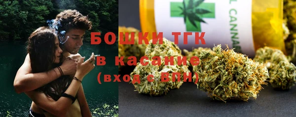 твердый Аркадак