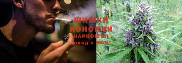 бошки Алексин