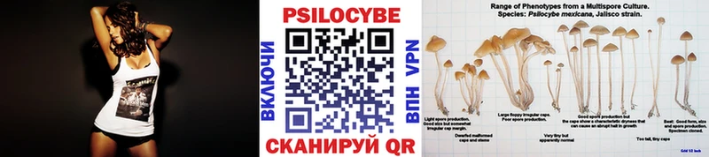 Галлюциногенные грибы Magic Shrooms Макушино